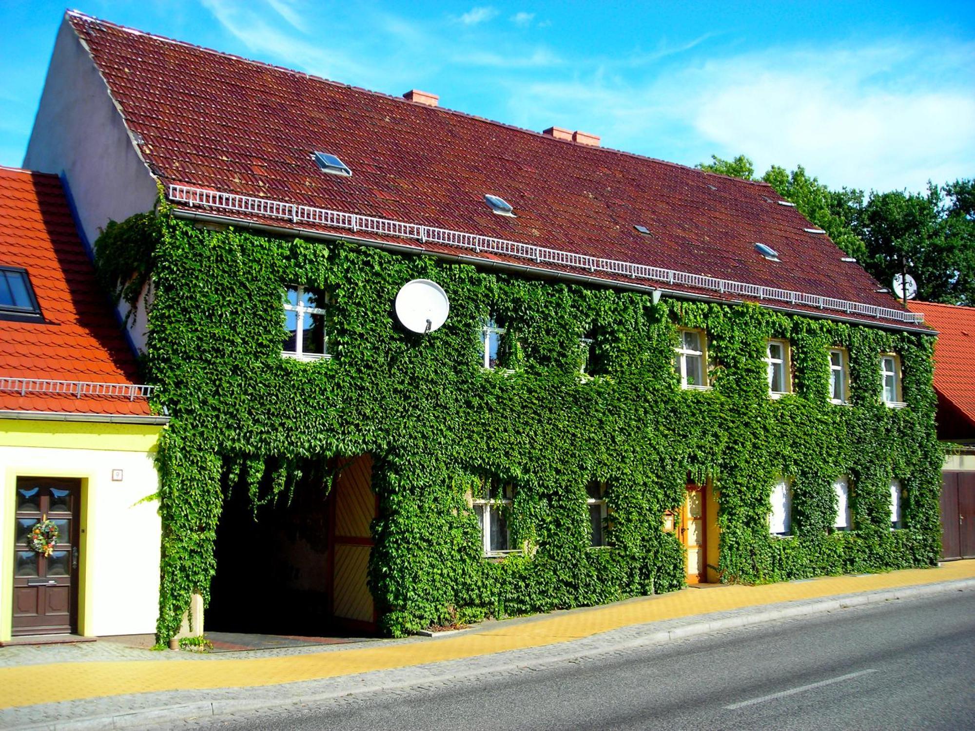 Ferienwohnung Auf Ehem. Alten Bauernhof Liebenwalde Екстериор снимка